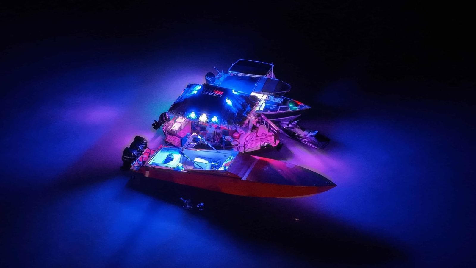 Idefix de nuit, éclairage sous-marin bleu et violet